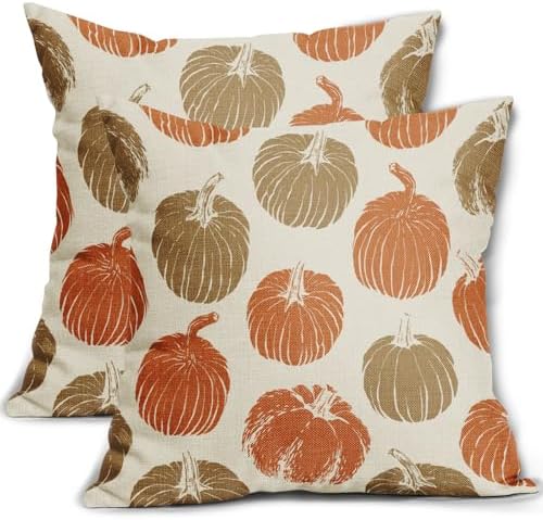 Brown Orange Pumpkin Fall Pillow Covers 18x18 Set of 2 Autumn Harvest Print Thanksgiving Decorative Throw Pillows Outdoor Farmhouse Cushion Case Seasonal Decor for Couch Sofa Bed by Aytipun