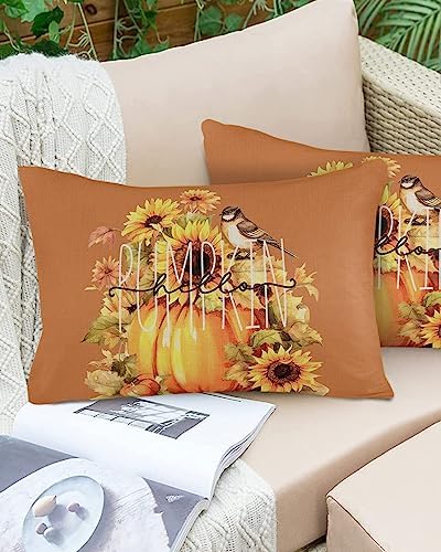 Pillow Covers 20x36 Inch - King Thanksgiving Soft Brushed Microfiber Pillowcases with Hidden Zipper Closure Bed Pillow Shams for Bedroom Sofa Car - Image 6