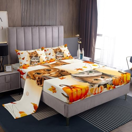 Erosebridal Kids Cute Cats Fitted Sheet Set King Fall Pumpkin Maple Leaf Bed Sheets for Girls Boys,Autumn Thanksgiving Bedding Sets,Happy Fall Decorations Flat Sheet for Home 2 Pillow Cases by Erosebridal
