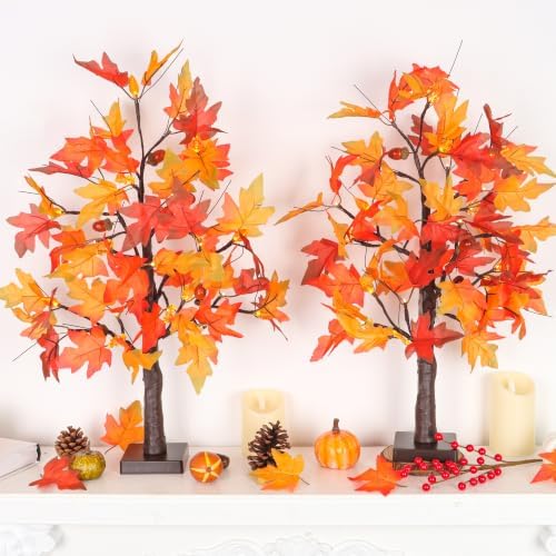 2 Pack 24 Inch Prelit Fall Maple Tree Fall Thanksgiving Decorations with 48 LEDs Battery Operated Timer Lighted Acorn Maple Artificial Tabletop Light Up Tree for Home Indoor Thanksgiving Table Decor - Image 2