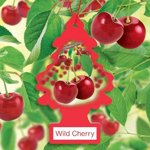 LITTLE TREES Car Air Freshener, 4 Count (Pack of 6), Wild Cherry