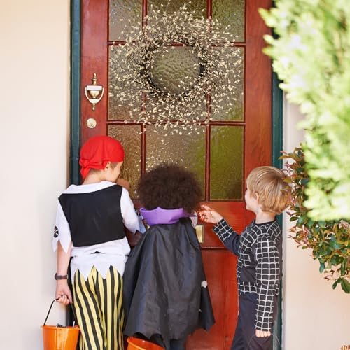 24 Inch Fall Wreath for Front Door Full Artificial Wreath - Image 7