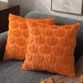 DFXSZ Fall Pillow Covers 20x20 2Pcs Orange Pumpkin Fall Decoration for Home by DFXSZ