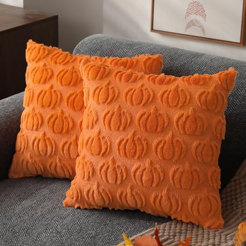 DFXSZ Fall Pillow Covers 18x18 2Pcs Orange Pumpkin Fall Decoration for Home by DFXSZ