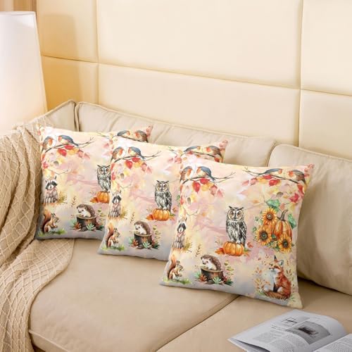 Autumn Animal 2 Pack Pillow Covers 16"x16",Cute Owl Fox Squirrel Natural Wild Animal Pillowcase Double Sides Print Cushion Case,Fall Maple Leaves Pumpkin Botanical Throw Pillow Covers - Image 4