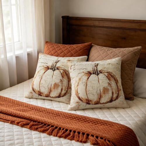 Vintage Fall Pumpkin Pillow Covers 20x20 Set of 2, Autumn Harvest Themed Thanksgiving Decorative Throw Pillow Cases Outdoor Rustic Seasonal Farmhouse Decor for Sofa Couch Bed - Image 7
