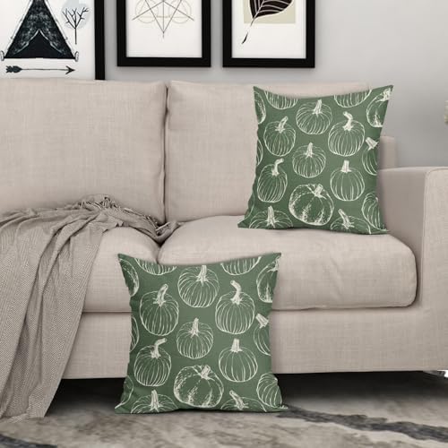 Sage Green Fall Pumpkin Pillow Covers 16x16 Set of 2 Autumn Themed Thanksgiving Cream Print Decorative Throw Pillows Outdoor PillowCase Farmhouse Linen Cushion Case Decor for Home Sofa Couch Bed - Image 3