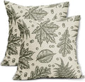 Olive Green Fall Pillow Covers 20x20 Set of 2 Cream Maple Leaf Print Autumn Colored Harvest Decorative Outdoor Pillowcases Farmhouse Seasonal Throw Cushion Case Decor for Home Couch Sofa Bed by Aytipun