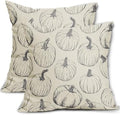 Grey Gray Pumpkin Fall Pillow Covers 24x24 Set of 2 Autumn Themed Thanksgiving Harvest Print Decorative Throw Pillows Outdoor Farmhouse Pillowcases Cushion Case Seasonal Decor for Couch Sofa Bed by Aytipun