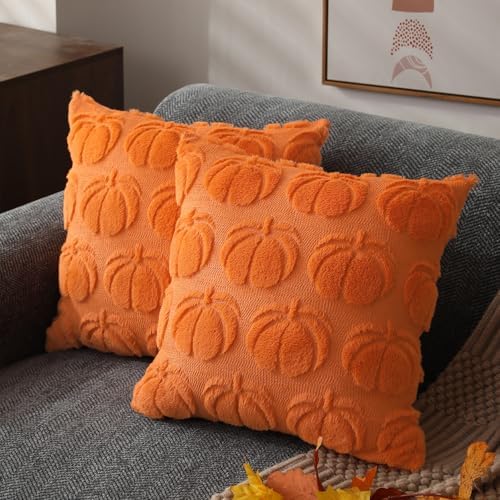 DFXSZ Fall Pillow Covers 18x18 2Pcs Orange Pumpkin Fall Decoration for Home by DFXSZ