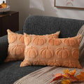 DFXSZ Fall Pillow Covers 12x20 2Pcs Light Orange Pumpkin Fall Decorations by DFXSZ