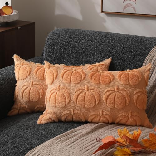 DFXSZ Fall Pillow Covers 12x20 2Pcs Light Orange Pumpkin Fall Decorations by DFXSZ