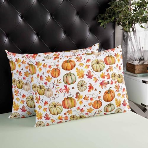 Pillow Covers 20x36 Inch - King Fall Thanksgiving Watercolor Orange Yellow Pumpkin Soft Brushed Microfiber Pillowcases with Hidden Zipper Closure Bed Pillow Shams for Bedroom Sofa Car - Image 4