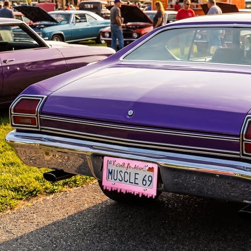 Timtin 1 Set Fluorescent Pink License Plate Frame, Style 1