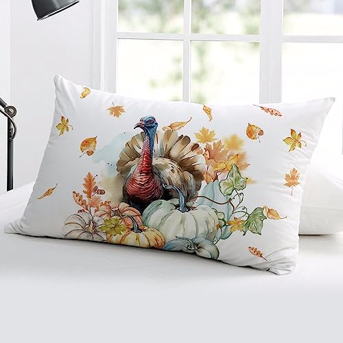 Pillow Covers 20x30 Inch - Queen Thanksgiving Watercolor Turkey with Pumpkins White Soft Brushed Microfiber Pillowcases with Hidden Zipper Closure Bed Pillow Shams for Bedroom Sofa Car - Image 5