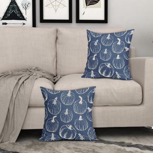 Blue Fall Pumpkin Pillow Covers 20x20 Set of 2 Autumn Themed Thanksgiving Cream Print Decorative Throw Pillows Outdoor Pillowcase Farmhouse Linen Cushion Case Decor for Home Sofa Couch Bed - Image 3