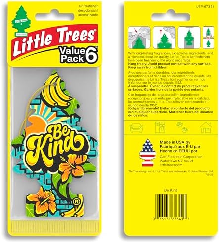 LITTLE TREES Car Air Freshener, 4 Count (Pack of 6), Be Kind