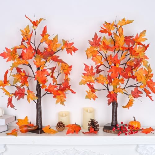 Fall Decor 2 Pack 24 Inch Lighted Maple Tree with 48 LED & Timer, Battery Operated Artificial Autumn Tabletop Tree with Acorns Maple Indoor Fall Decorations for Home, Thanksgiving Table Decor - Image 2