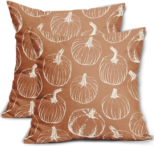 Burnt Orange Pumpkin Fall Pillow Covers 22x22 Set of 2 Autumn Themed Thanksgiving Harvest Print Decorative Throw Pillows Outdoor Farmhouse Pillowcases Cushion Case Seasonal Decor for Couch Sofa Bed by Aytipun