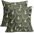 Olive Green Fall Pumpkin Pillow Covers 22x22 Set of 2 Autumn Themed Thanksgiving Cream Print Decorative Throw Pillows Outdoor PillowCase Farmhouse Linen Cushion Case Decor for Home Sofa Couch Bed by Aytipun