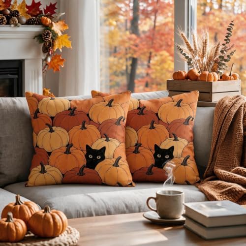 Fall Orange Pumpkin Pillow Covers 20x20 Set of 2, Black Cat Autumn Harvest Thanksgiving Decorative Throw Pillow Cases Holiday Outdoor Seasonal Farmhouse Decor for Sofa Couch Bed - Image 2