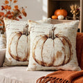Vintage Fall Pumpkin Pillow Covers 22x22 Set of 2, Autumn Harvest Themed Thanksgiving Decorative Throw Pillow Cases Outdoor Rustic Seasonal Farmhouse Decor for Sofa Couch Bed by Unknown