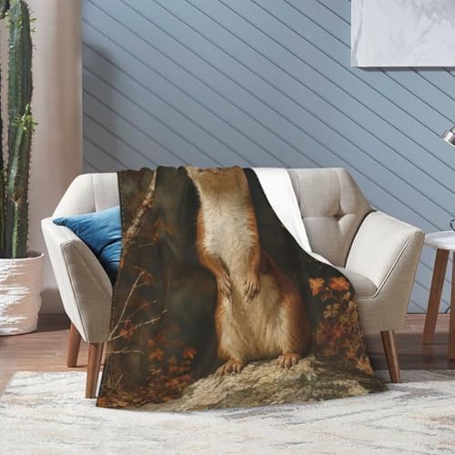 Cute Ferret Blanket for Women, Gifts for Girls, Animal Blankets for Kids, Soft Cozy Lightweight Throw for Bed Sofa Home Travel Room Decor, 50x60 Inch - Image 3