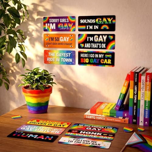 12 Pcs Funny Gay Car Magnets Bumper Prank Rainbow, Bright