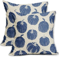 Blue Pumpkin Fall Pillow Covers 22x22 Set of 2 Autumn Harvest Print Thanksgiving Decorative Throw Pillows Outdoor Farmhouse Cushion Case Seasonal Decor for Couch Sofa Bed by Aytipun