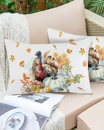 Pillow Covers 16x24 Inch Thanksgiving Watercolor Turkey with Pumpkins White Soft Brushed Microfiber Pillowcases with Hidden Zipper Closure Bed Pillow Shams for Bedroom Sofa Car - Image 6