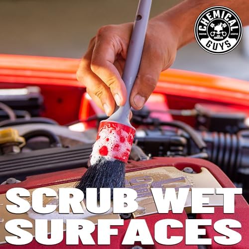 Chemical Guys All in the Details Exterior Detailing Brushes - 3-Piece Soft Scratch-Free Brushes for Wheels, Bumpers, Grilles, Badging & Tight Exterior Gaps on Cars, Trucks, SUVs & More