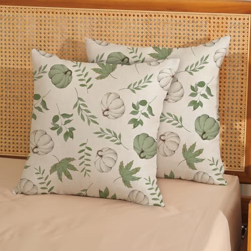 Fall Pillow Covers 18x18 Set of 2 Sage Green Pumpkin Maple Leaf Fall Decor Pillowcase Autumn Thanksgiving Decorations Outdoor Throw Pillow Covers Linen Farmhouse Cushion Case for Couch Home - Image 2