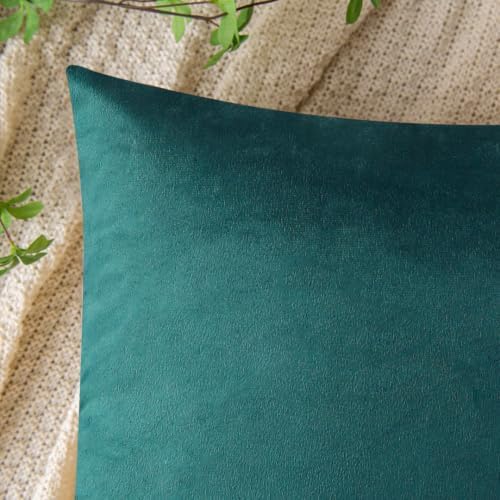 VAKADO 24x24 Teal Velvet Soft Solid Throw Pillow Covers Decorative Square Cushion Cases Home Decor for Couch Sofa Bedroom Car Set of 2 - Image 3