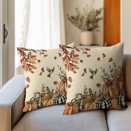 Fall Robin Pumpkin Throw Pillow Covers 22x22 Set of 2 Thanksgiving Harvest Maple Leaves Pillow Covers Buffalo Plaid Pumpkin Watercolor Foliage Pillowcase for Kitchen Outdoor Couch Room Decoration - Image 4
