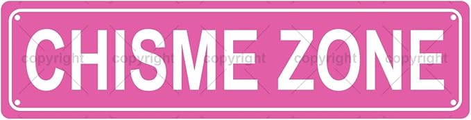 CHISME ZONE Space Metal Tin Street Sign Bar Cafe Garage Cave Home Room Wall by Unknown