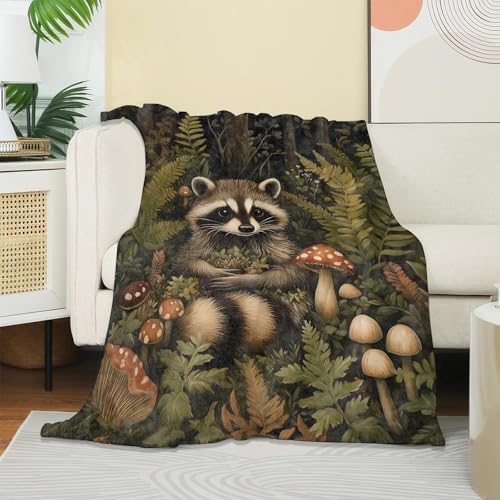 Cute Raccoon Blanket, Soft Cozy Warm Throw Blanket for Adults Kids Women, Comfy Lightweight Fuzzy Flannel Blankets for Couch, Travel, Car, Home Decor 50×40 Inch - Image 2
