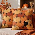 Fall Orange Pumpkin Pillow Covers 20x20 Set of 2, Black Cat Autumn Harvest Thanksgiving Decorative Throw Pillow Cases Holiday Outdoor Seasonal Farmhouse Decor for Sofa Couch Bed by Unknown