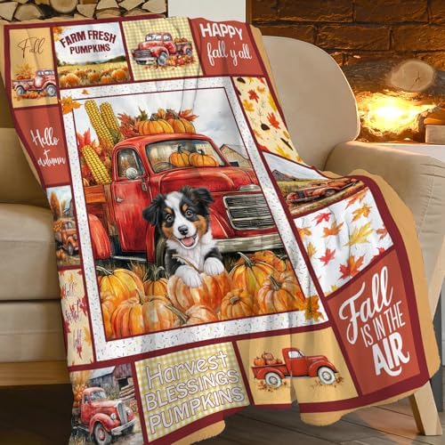 Autumn Harvest Blanket PumpkinsThrow Blanket Red Truck Puppy Bedding Fall Gifts Cozy Fleece Flannel Lightweight Stuff Plush for Men Women Boys Adults for Couch Sofa Bed Home Decor 60"X80" by Unknown