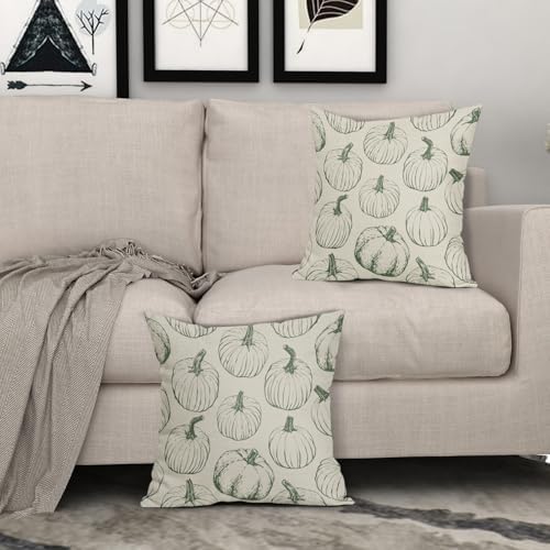 Sage Green Pumpkin Fall Pillow Covers 16x16 Set of 2 Autumn Themed Thanksgiving Harvest Print Decorative Throw Pillows Outdoor Farmhouse Pillowcases Cushion Case Seasonal Decor for Couch Sofa Bed - Image 3