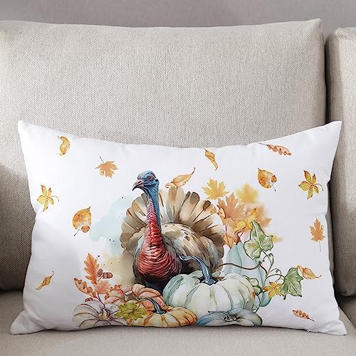 Pillow Covers 20x30 Inch - Queen Thanksgiving Watercolor Turkey with Pumpkins White Soft Brushed Microfiber Pillowcases with Hidden Zipper Closure Bed Pillow Shams for Bedroom Sofa Car - Image 3