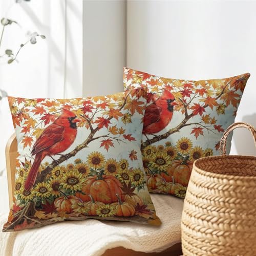 Fall Red Cardinal Bird Pillow Covers 18x18 Set of 2 Sunflower Thanksgiving Harvest Maple Leaves Throw Pillow Covers Pumpkin Pillowcase for Kitchen Outdoor Couch Bedroom Living Room Party Decoration - Image 7