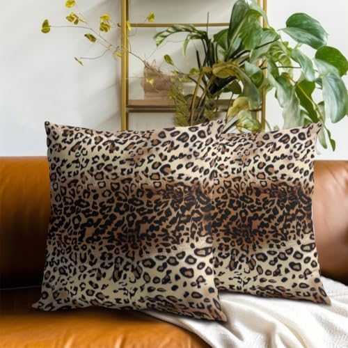 Sweetshow Brown Leopard Pillow Cover 12x12 Inches Cheetah Throw Pillows Set of 2 Soft Cotton Leopard Print Decorative Throw Pillow Covers for Home Couch Sofa Bedroom Livingroom - Image 7