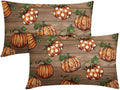 Fall Thanksgiving Pillow Covers 12x20 Set of 2 Highly Absorbent Orange by Unknown