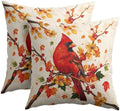 Fall Red Cardinal Bird Pillow Covers 18x18 Set of 2 Autumn Orange Thanksgiving Maple Leaves Outdoor Throw Pillows Covers Tree Holiday Decorative Farmhouse Cushion Case for Living Room Couch Sofa by Unknown
