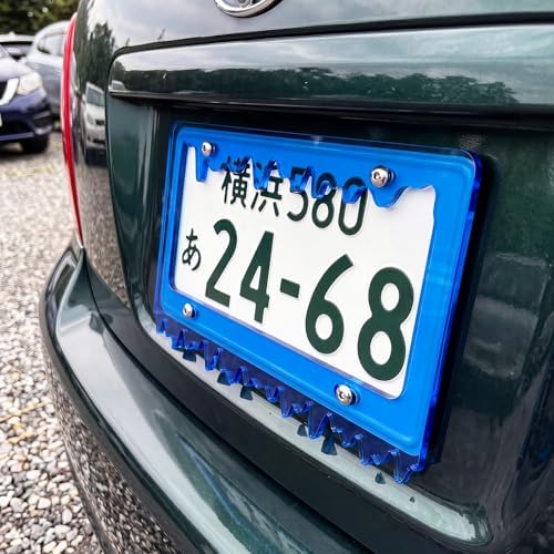 Timtin 1 Set Fluorescent Royal Blue License Plate Frame, Style 1