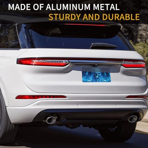 Blue Fire Skull Front License Plate 6" * 12" for Women