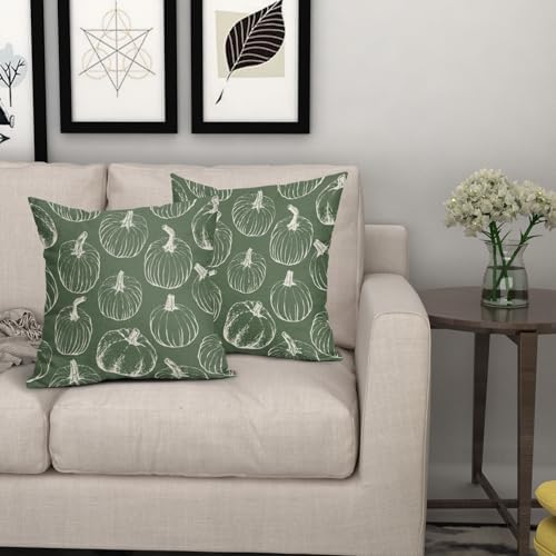 Sage Green Fall Pumpkin Pillow Covers 16x16 Set of 2 Autumn Themed Thanksgiving Cream Print Decorative Throw Pillows Outdoor PillowCase Farmhouse Linen Cushion Case Decor for Home Sofa Couch Bed - Image 7