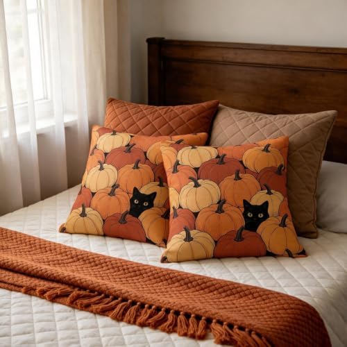Fall Orange Pumpkin Pillow Covers 18x18 Set of 2, Black Cat Autumn Harvest Thanksgiving Decorative Throw Pillow Cases Holiday Outdoor Seasonal Farmhouse Decor for Sofa Couch Bed - Image 7
