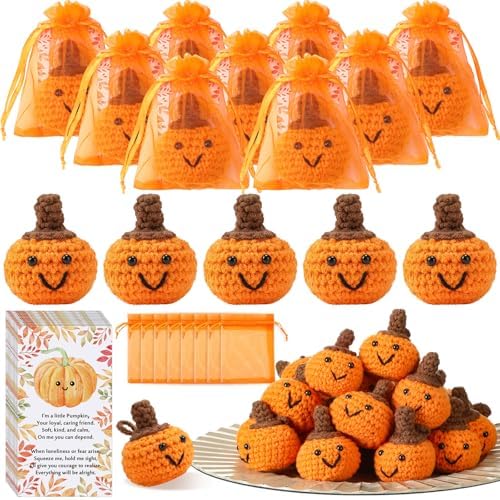 Shappy 50 Sets Thanksgiving Gifts Bulk Small Fall Pumpkins Crochet Gifts by Shappy