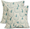 Teal Pumpkin Fall Pillow Covers 18x18 Set of 2 Autumn Themed Thanksgiving Harvest Print Decorative Throw Pillows Outdoor Farmhouse Pillowcases Cushion Case Seasonal Decor for Couch Sofa Bed by Aytipun